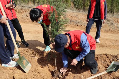 3.副校长王宏亮和同学们一起植树 3.副校长王宏亮和同学们一起植树