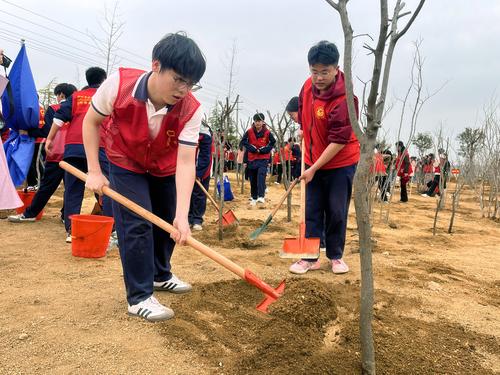 4为刚栽下的小树苗埋土 4为刚栽下的小树苗埋土