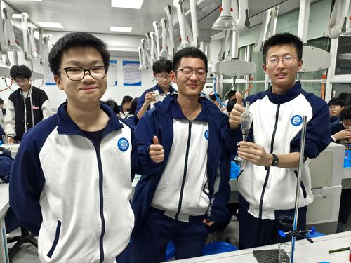 3 展示实验成果