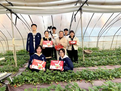 2.辅导老师和学生深入郑州市中牟曾庄草莓园开展助农直播活动