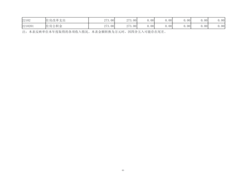 2025年度taptap滚球校单位决算_09