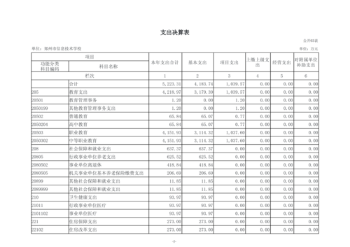 2025年度taptap滚球校单位决算_10